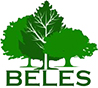 Predelava lesa - BELES